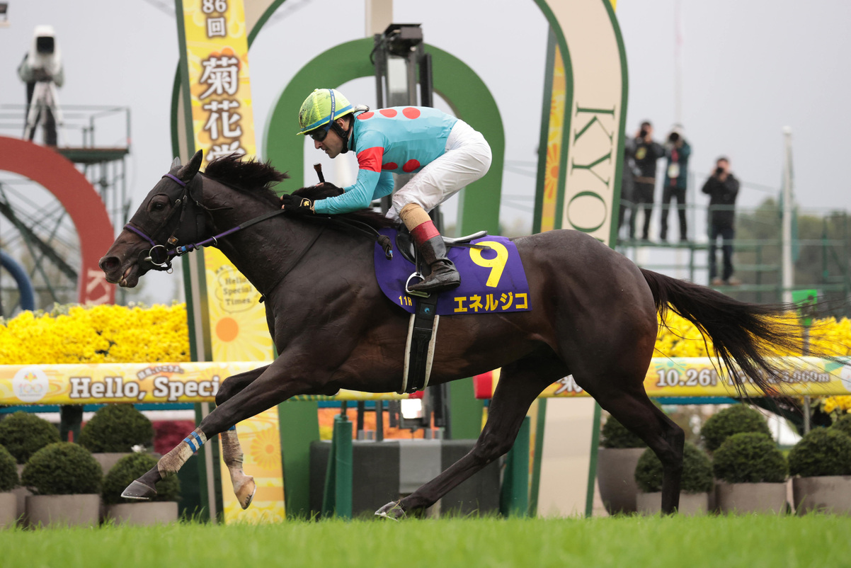 菊花賞（G1）予想・推奨馬・ベストベット＆一発秘める超穴馬