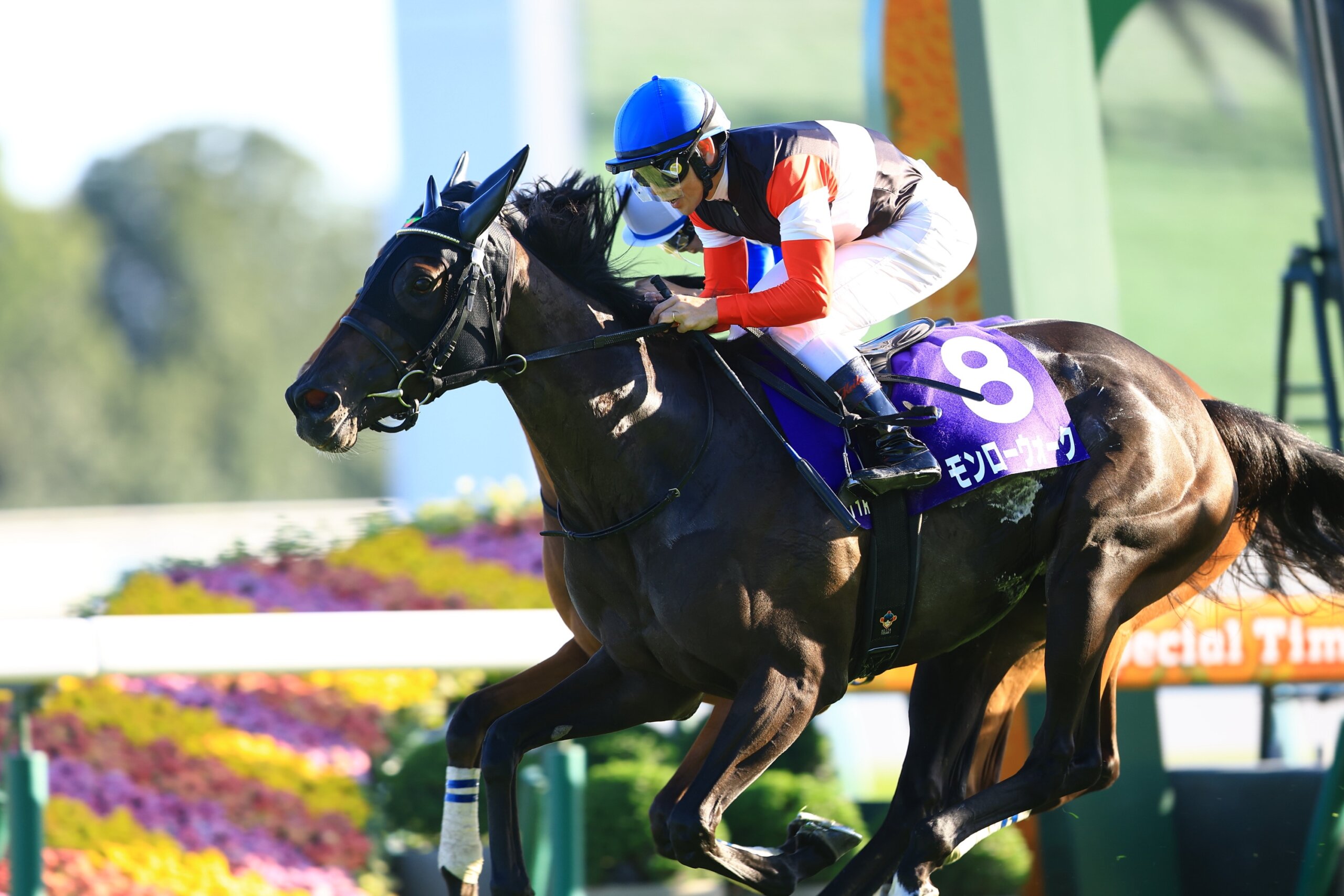 GLD Racing Recap: (G1) Shuka Sho & (G2) Sha Tin Trophy Speed Ratings | Runners To Watch | October 19, 2026
