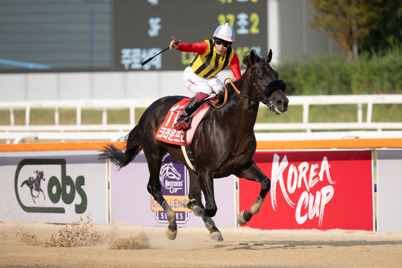 GLD Racing Debuts Form Guides For Seoul & Busan