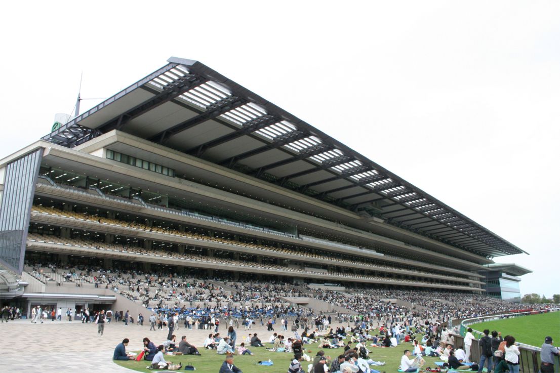 Kochi競馬 予想・徹底分析&無料注目馬 | Oct 18