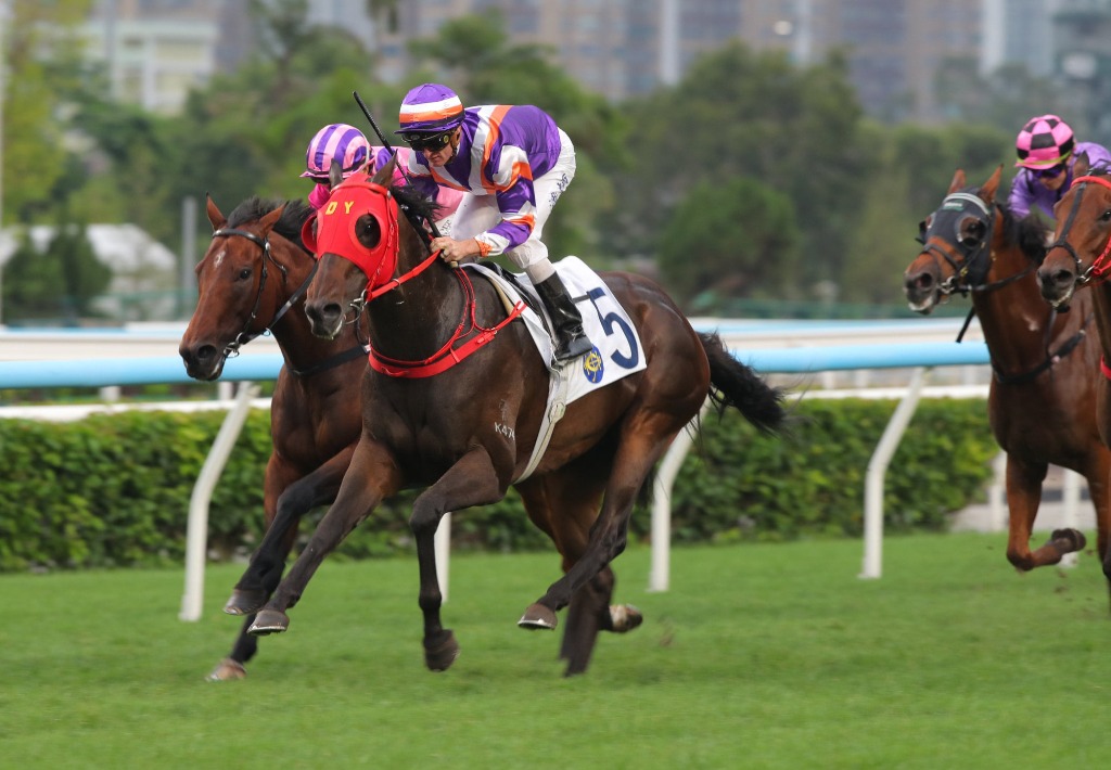 Happy Valley Horse Racing Tips: Free Best Bets & Value Overlays | Wednesday, Sept 23